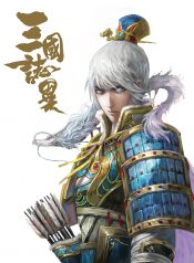 San Guo Zhi Yi