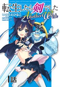 Tensei Shitara Ken Deshita Another Wish