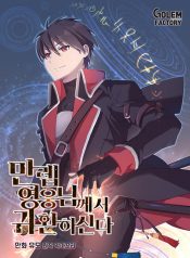 The Max Level Hero Has Returned