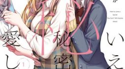 Ienai Himitsu No Aishikata