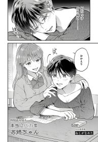 Hontou ni Baka na Onee-chan