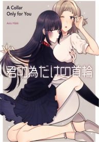 Kimi no tame dake no kubiwa