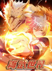 The World of Real Martial Arts