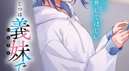 Jitsu wa Imouto Deshita. ~Saikin dekita Giri no Otouto no Kyorikan ga Yatara Chikai wake~