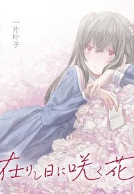 Haike, arashi hini saku hana tachie