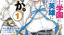 Imouto ga Onna Kishi Gakuen ni Nyuugaku Shitara Naze ka Kyuukoku no Eiyuu ni narimashita. Boku ga.